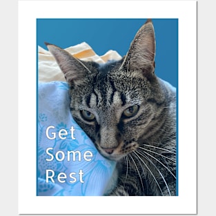 Get Some Rest Kitty Posters and Art